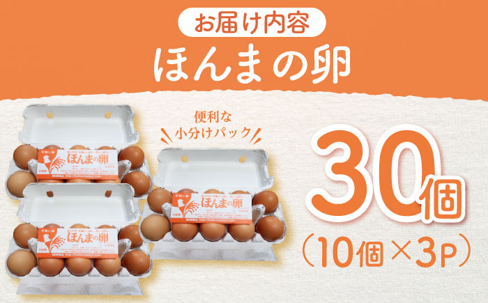 平飼いニワトリの有精卵！ほんまの卵 30個（10個×3パック） / たまご / 佐賀県 / 本間農園 [41AJAA002]