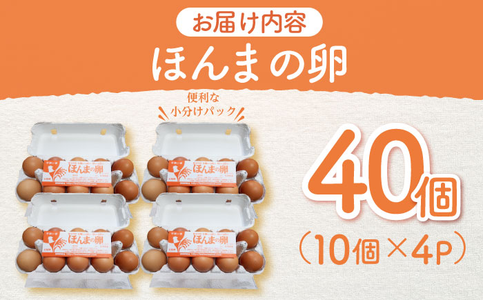 平飼いニワトリの有精卵！ほんまの卵 40個（10個×4パック） / たまご / 佐賀県 / 本間農園 [41AJAA003]