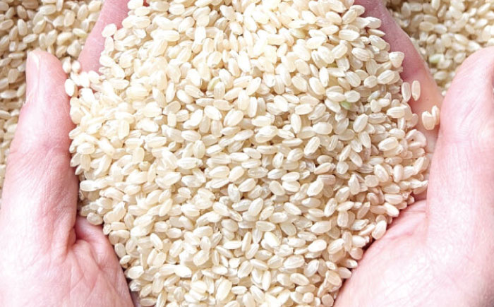 佐賀県産 有機米 イセヒカリ 玄米 5kg / 佐賀県 / 株式会社中村 [41AJCN011]