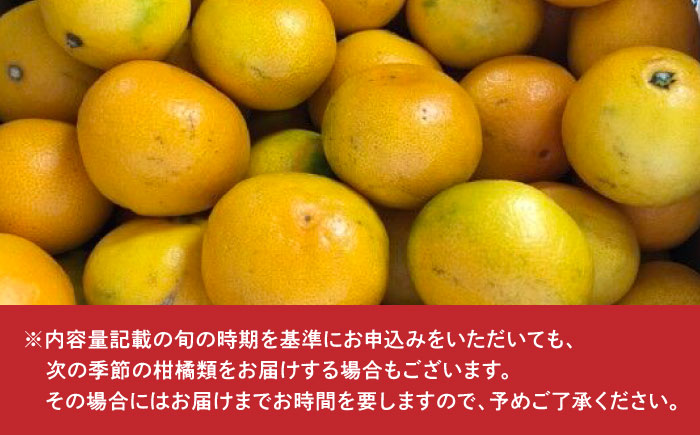 旬の柑橘類 / フルーツ / 佐賀県 / 一般社団法人龍乃 [41ANAC098]