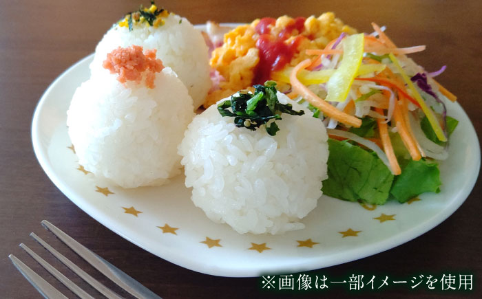 がばいＵ米（うまい）無洗米 5kg / 無洗 国産 九州 / 佐賀県 / 大塚米穀店 [41ANAD003]