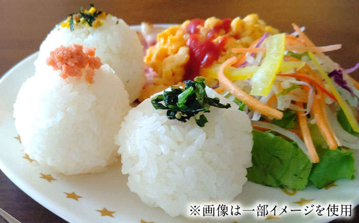 【全3回定期便】令和7年産 こしひかり 無洗米 5kg / 佐賀県 / 大塚米穀店 [41ANAD042]