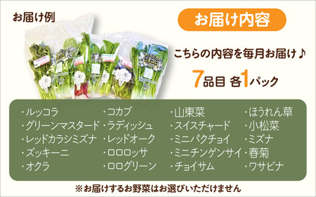 【全6回定期便】オーガニック サラダミニセット 7種×1パック / 野菜 / 佐賀県 / 株式会社サガンベジ [41ANCH005]