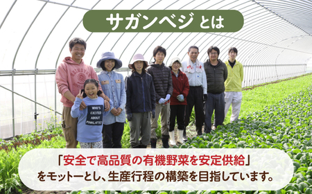 【全6回定期便】ビーガン米 玄米 計60kg（10kg×6回） / 佐賀県 / 株式会社サガンベジ [41ANCH007]