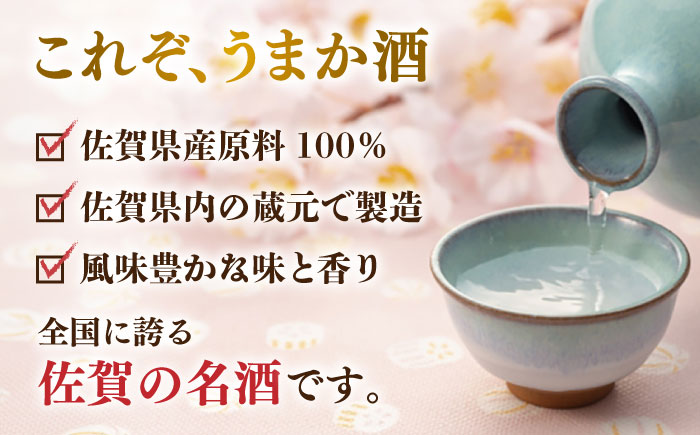 天吹 純米大吟醸50 300ml×12本セット / 日本酒 / 佐賀県 / 天吹酒造合資会社 [41ANCX003]