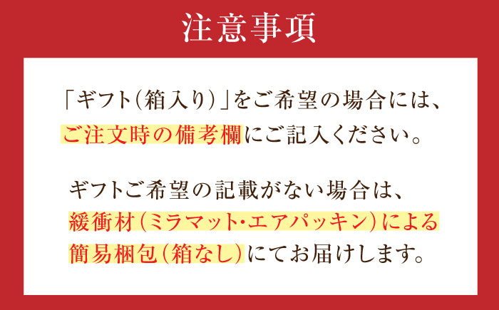 【有田焼】【其泉】ゆいからくさ 24.5cm プレート 白金  2点 / 食器 / 佐賀県 / 株式会社賞美堂本店 [41APAQ024]