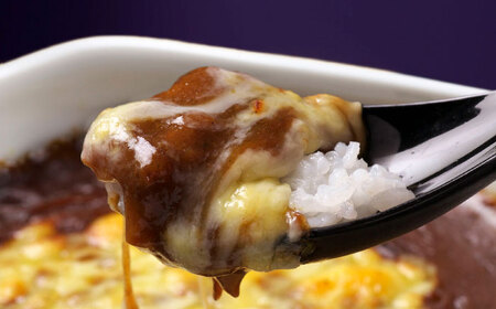 【有田焼】【全3回定期便】佐賀有田窯元6選×有田焼カレーうつわ付き / お皿 / 佐賀県 / 株式会社プレアデス [41APCG002]