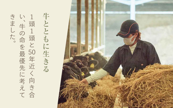 【期間限定】ミルフィーユロールステーキ10個入（各80g）  / 牛肉 / 佐賀県 / 有限会社佐賀セントラル牧場 [41ASAA306]