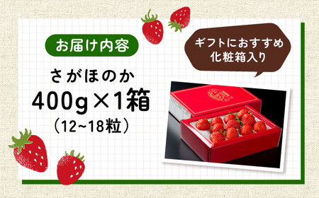 【2026年発送分 先行予約】【化粧箱入り】白石産いちご「さがほのか」400g / フルーツ / 佐賀県 / 岸川農園 [41ASAG003]