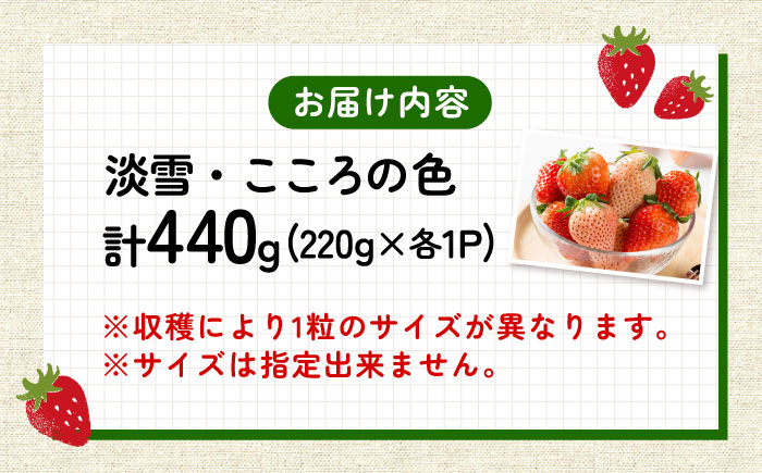 【2026年発送分 先行予約】淡雪・こころの色 白いちごプレミアム 計440g（220g×2パック）/ 佐賀県 / 岸川農園 [41ASAG007]