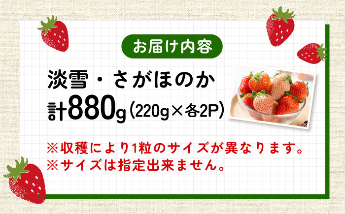 【2026年発送分 先行予約】淡雪・さがほのか 紅白いちごセット 220g×4パック / フルーツ / 佐賀県 / 岸川農園 [41ASAG011]