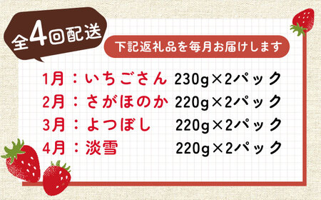 【2026年発送分 先行予約】【全4回定期便】いちご4品種食べ比べ（いちごさん・さがほのか・よつぼし・淡雪） / フルーツ / 佐賀県 / 岸川農園 [41ASAG033]
