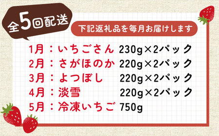 【2026年発送分 先行予約】【全5回定期便】佐賀県産 いちご4品種（いちごさん・さがほのか・よつぼし・淡雪）と冷凍いちご食べ比べ / フルーツ / 佐賀県 / 岸川農園 [41ASAG039]