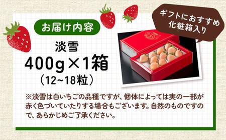 【2026年発送分 先行予約】【化粧箱入り】ほんのりピンクな白いちご希少「淡雪」400g / フルーツ / 佐賀県 / 岸川農園 [41ASAG044]