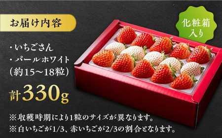 【2026年発送分 先行予約】【化粧箱入り】佐賀県産 いちごさん・パールホワイト 330g（約15-18粒） / フルーツ / 佐賀県 / かわさきいちご [41ASBJ002]