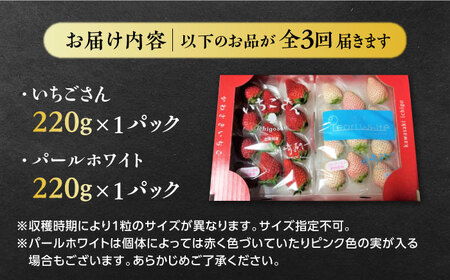 【2026年発送分 先行予約】【全3回定期便】いちごさん・パールホワイト各220g 詰め合わせ / フルーツ / 佐賀県 / かわさきいちご [41ASBJ008]