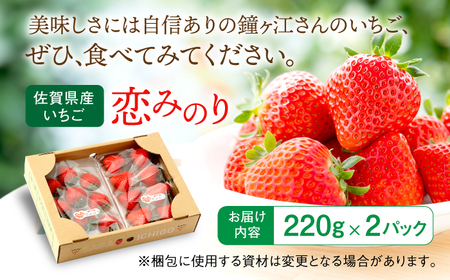 【2026年発送分 先行予約】佐賀県産いちご 恋みのり 220g×2パック /フルーツ / 佐賀県 / 鐘ヶ江農園 [41ASBK001]