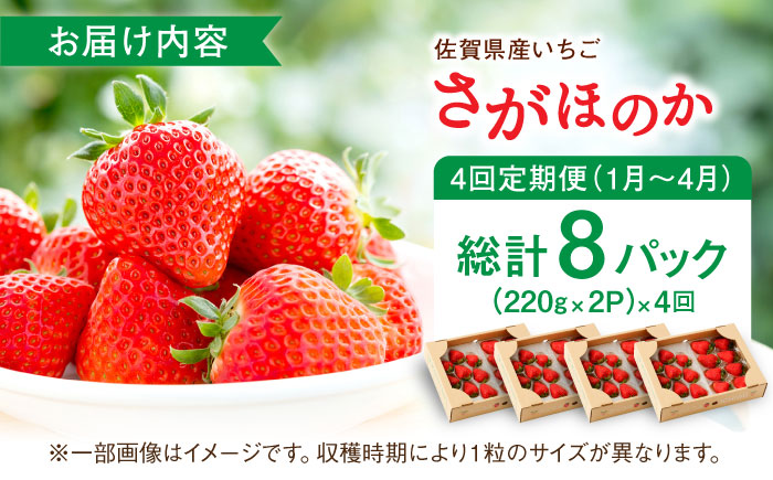 【2026年発送分 先行予約】【全4回定期便】さがほのか 220g×2パック×4回 / いちご / 佐賀県 / 鐘ヶ江農園 [41ASBK004]