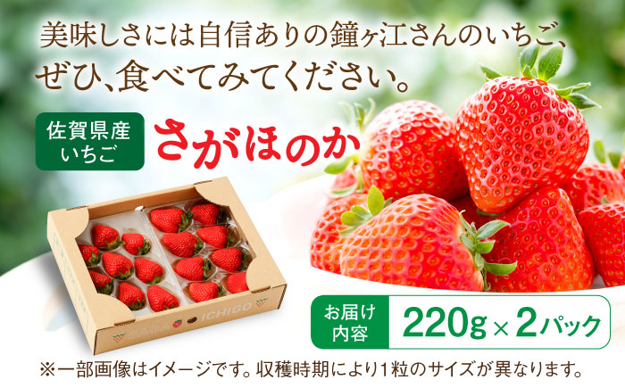 【2026年発送分 先行予約】さがほのか 220g×2パック / いちご / 佐賀県 / 鐘ヶ江農園 [41ASBK005]