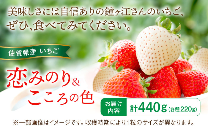 【先行予約】恋みのり・こころの色 220g×2パック（各1パック） / いちご / 佐賀県 / 鐘ヶ江農園 [41ASBK007]