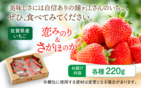 【2026年発送分 先行予約】恋みのり・さがほのか 各220g 詰め合わせセット / いちご / 佐賀県 / 鐘ヶ江農園 [41ASBK008]