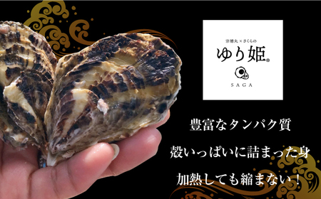 竹崎産 ブランド生牡蠣「ゆり姫」5kg（ナイフ付き）/ かき / 佐賀県 / 宗徳丸 [41ATAF003]