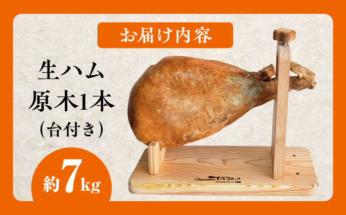 【数量限定】長期熟成 生ハム 原木1本（約7kg） / パーティー / 佐賀県 / 有限会社田嶋畜産 [41ATBP004]
