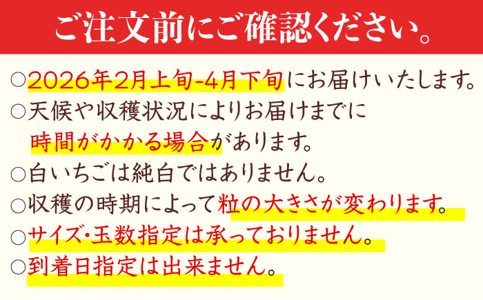 【2026年2月から発送分 先行予約】【幻の白いちご】【化粧箱入り】白い宝石 約450g / フルーツ / 佐賀県 / 手島農園 [41ABAB005]