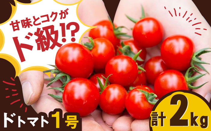 人気のドトマト1号 2kg（1kg×2箱） / 佐賀県 / 永尾産ち [41AAAC001]