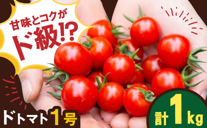 人気のドトマト1号 1kg / 佐賀県 / 永尾産ち [41AAAC002]