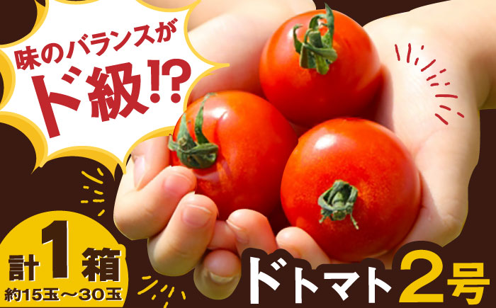 人気のドトマト2号 1箱 / 佐賀県 / 永尾産ち [41AAAC003]