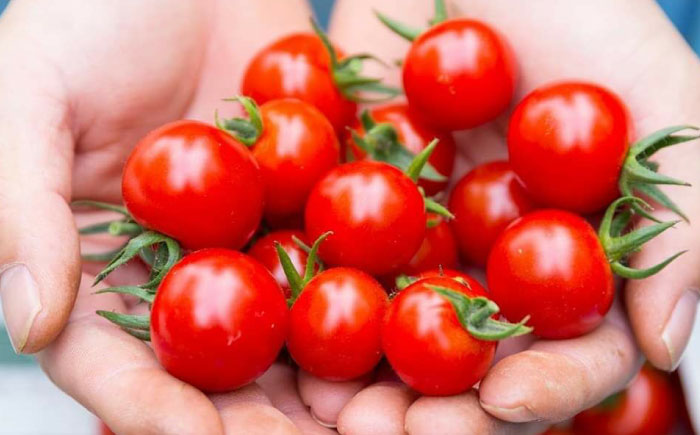 永尾産ちド級シリーズ トマト食べくらべセット / 佐賀県 / 永尾産ち [41AAAC006]