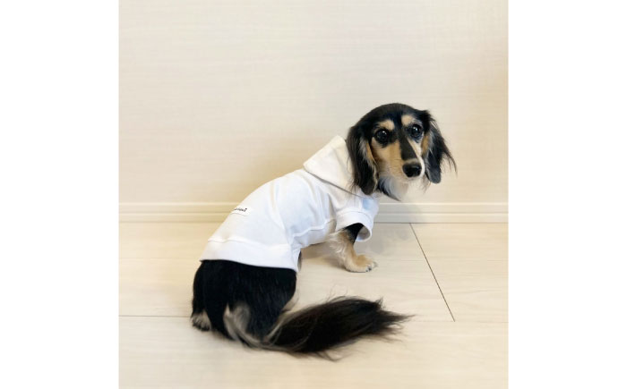 コットンパーカー ホワイト（ワンちゃん用）（SS/S/MM/Mサイズ） / ペット用品 / 佐賀県 / Canis Lupus [41AAAN004]