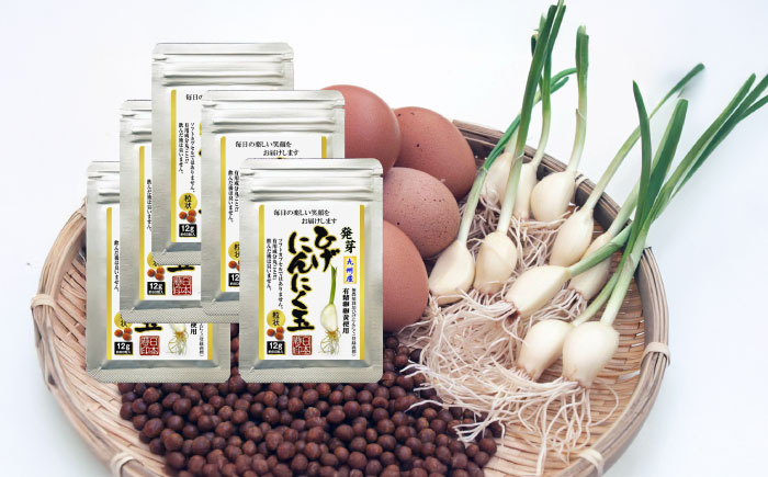 ひげにんにく玉 5袋（1袋60粒入） / 健康食品 / 佐賀県 / 日本にんにく [41AAAO005]