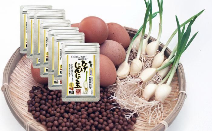 ひげにんにく玉 10袋（1袋60粒入） / 健康食品 / 佐賀県 / 日本にんにく [41AAAO006]