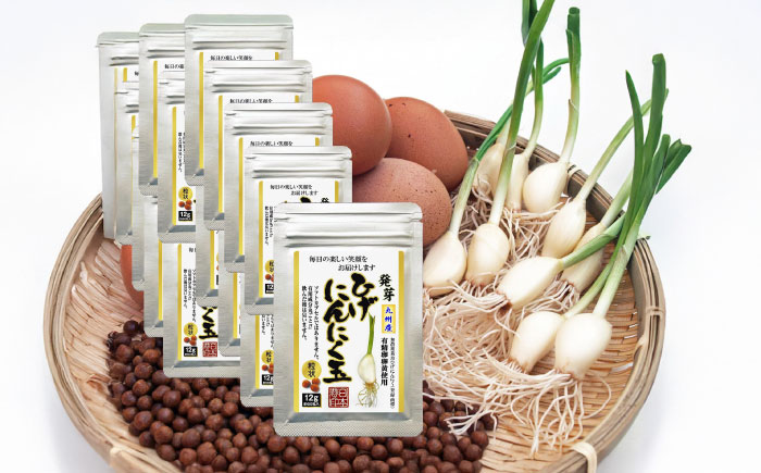 ひげにんにく玉 15袋（1袋60粒入） / 健康食品 / 佐賀県 / 日本にんにく [41AAAO007]