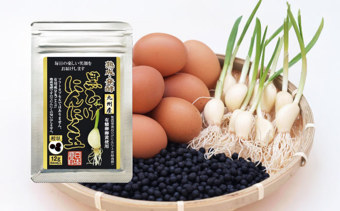 黒ひげにんにく玉 1袋 （1袋60粒入） / 健康食品 / 佐賀県 / 日本にんにく [41AAAO008]