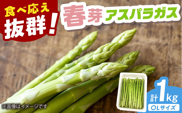 【2026年発送分 先行予約】春芽 アスパラガス 計1kg（〇Lサイズ） / 野菜 / 佐賀県 / さが風土館季楽 [41AABE103]