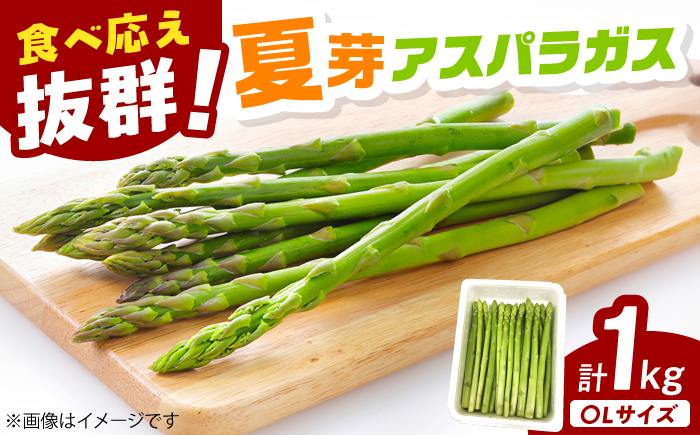 【2026年発送 先行予約】夏芽 アスパラガス 計1kg（〇Lサイズ） / 野菜 / 佐賀県 / さが風土館季楽 [41AABE104]