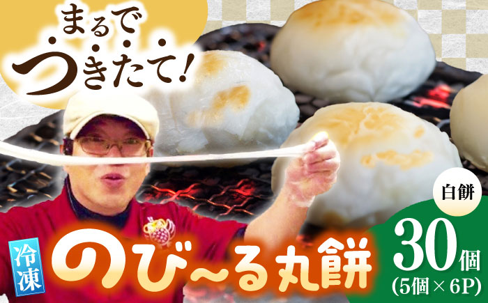 佐賀県産もち米100%自慢の杵つき丸白餅（冷凍）計30個入（40g×5個×6P） / 佐賀県 / 旬菜舎さと山 [41AABM019]