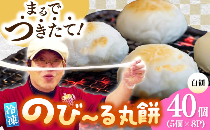 佐賀県産もち米100%自慢の杵つき丸白餅（冷凍）計40個入（40g×5個×8P） / 佐賀県 / 旬菜舎さと山 [41AABM020]