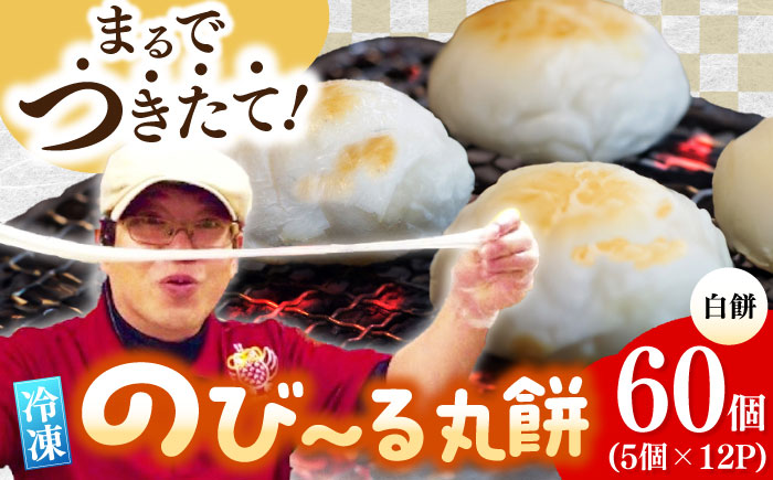 佐賀県産もち米100%自慢の杵つき丸白餅（冷凍）計60個入（40g×5個×12P） / 佐賀県 / 旬菜舎さと山 [41AABM021]