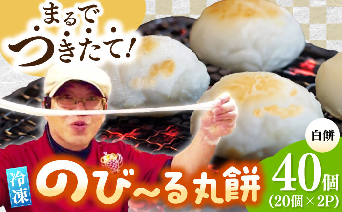 佐賀県産もち米100%自慢の杵つき丸白餅（冷凍）計40個入（20個×2P） / 佐賀県 / 旬菜舎さと山 [41AABM023]