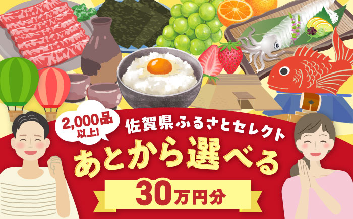 【あとから選べる】佐賀県ふるさとギフト 30万円分 [41AAZY020]