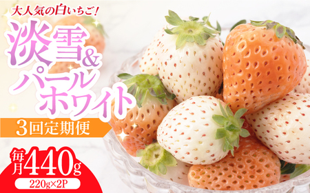 【2026年発送分 先行予約】【全3回定期便】白いちご2種（淡雪・パールホワイト）/ フルーツ / 佐賀県ふるさと納税 [41AAZZ001]