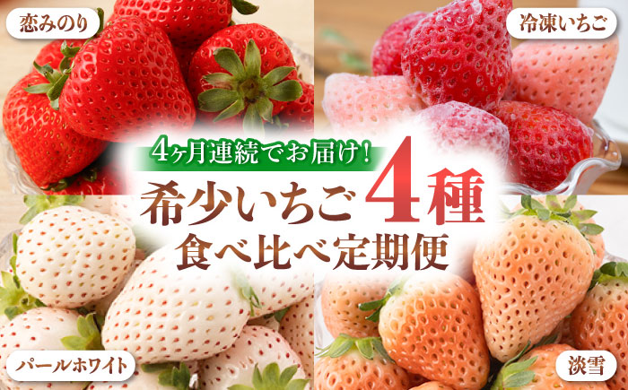 【2026年発送分 先行予約】【全4回定期便】希少いちご（恋みのり・パールホワイト・淡雪・冷凍いちご）食べ比べ定期便 / フルーツ / 佐賀県ふるさと納税 [41AAZZ003]