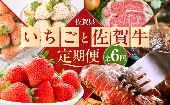 【2026年発送分 先行予約】【全6回定期便】佐賀県の生産者を応援！いちごと佐賀牛定期便 / ステーキ ハンバーグ / 佐賀県ふるさと納税 [41AAZZ007]