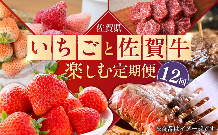 【2026年発送分 先行予約】【全12回定期便】佐賀県の生産者を応援！いちごと佐賀牛を楽しむ定期便 / ステーキ ハンバーグ 切り落とし / 佐賀県ふるさと納税 [41AAZZ008]