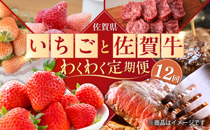 【2026年発送分 先行予約】【全12回定期便】佐賀県の生産者を応援！いちごと佐賀牛のわくわく定期便 / ステーキ ハンバーグ 切り落とし / 佐賀県ふるさと納税 [41AAZZ010]