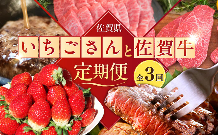 【2026年発送分 先行予約】【全3回定期便】いちごさんと佐賀牛定期便 / ステーキ 焼肉 ハンバーグ イチゴ / 佐賀県ふるさと納税 [41AAZZ011-1]